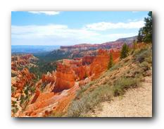 Bryce Canyon NP 56.jpg